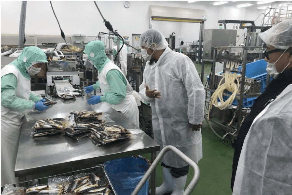 program-internship-image-5-coop-indonesia